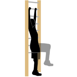Sprossenwand Fitnessgerät Sprossenwand
